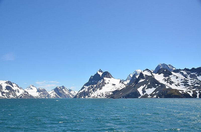 347_Antarctica_South_Georgia_Drygalski_Fjord .JPG